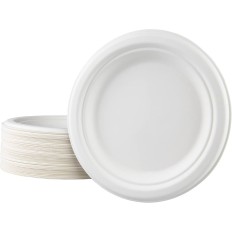 Assiette  plastique