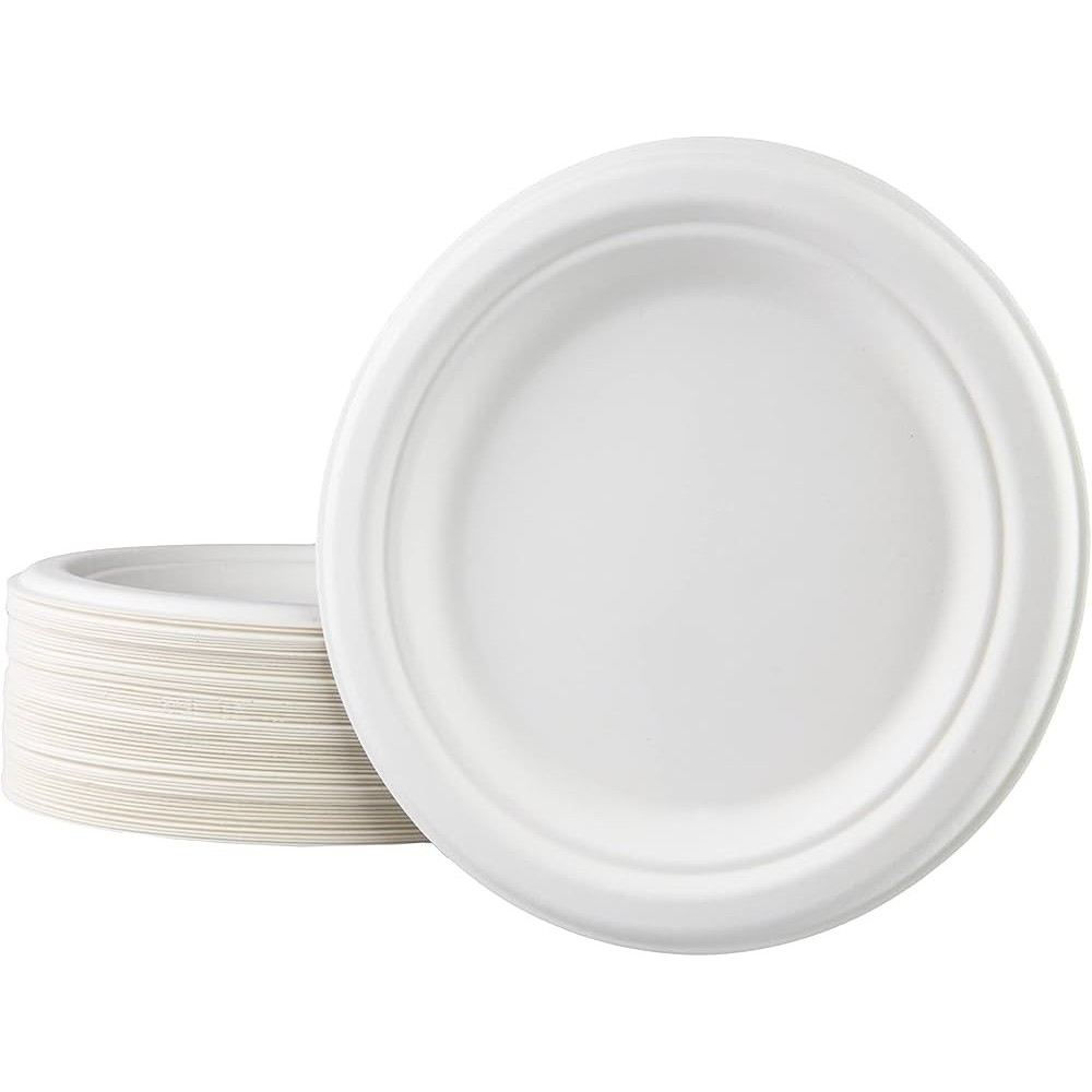 Assiette  plastique